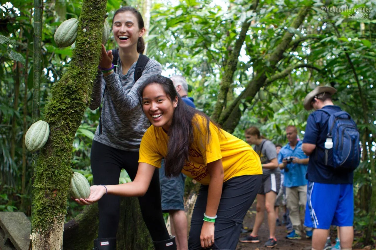 Nature History Walk — Costa Rica Best Chocolate